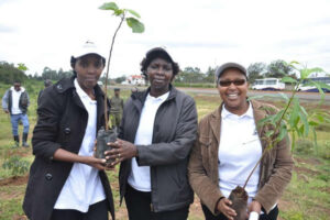 TreePlanting201417