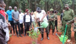 CEO Planting